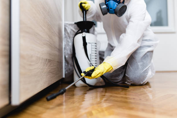 Best Pest Control Treatment  in Town Line, NY