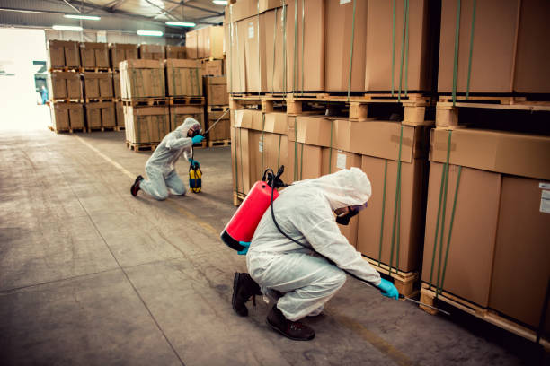 Best Pest Inspection Near Me  in Town Line, NY
