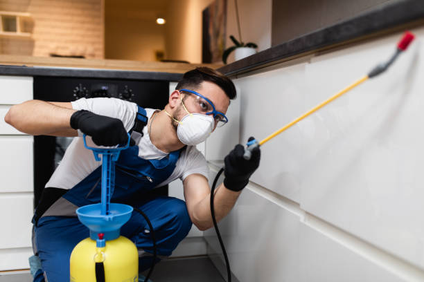  Town Line, NY Pest Control Pros