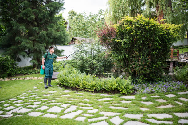 Best Affordable Pest Control Services  in Town Line, NY