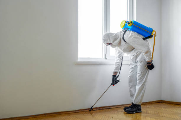 Best Pest Prevention Services  in Town Line, NY