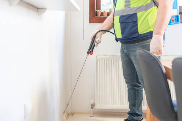 Best Rat Extermination Near Me  in Town Line, NY