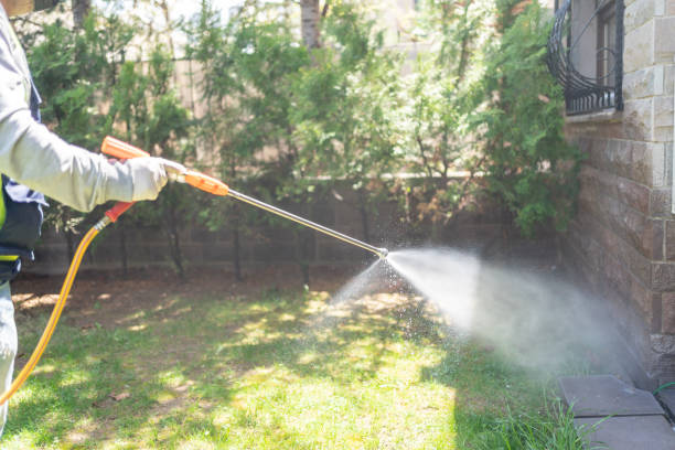 Best Residential Pest Control  in Town Line, NY