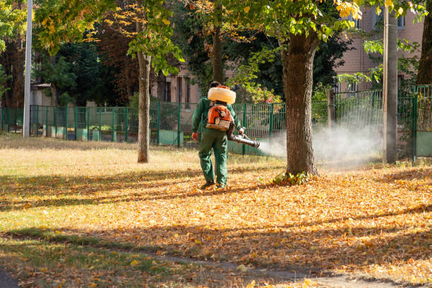 Best Pest Removal Services  in Town Line, NY